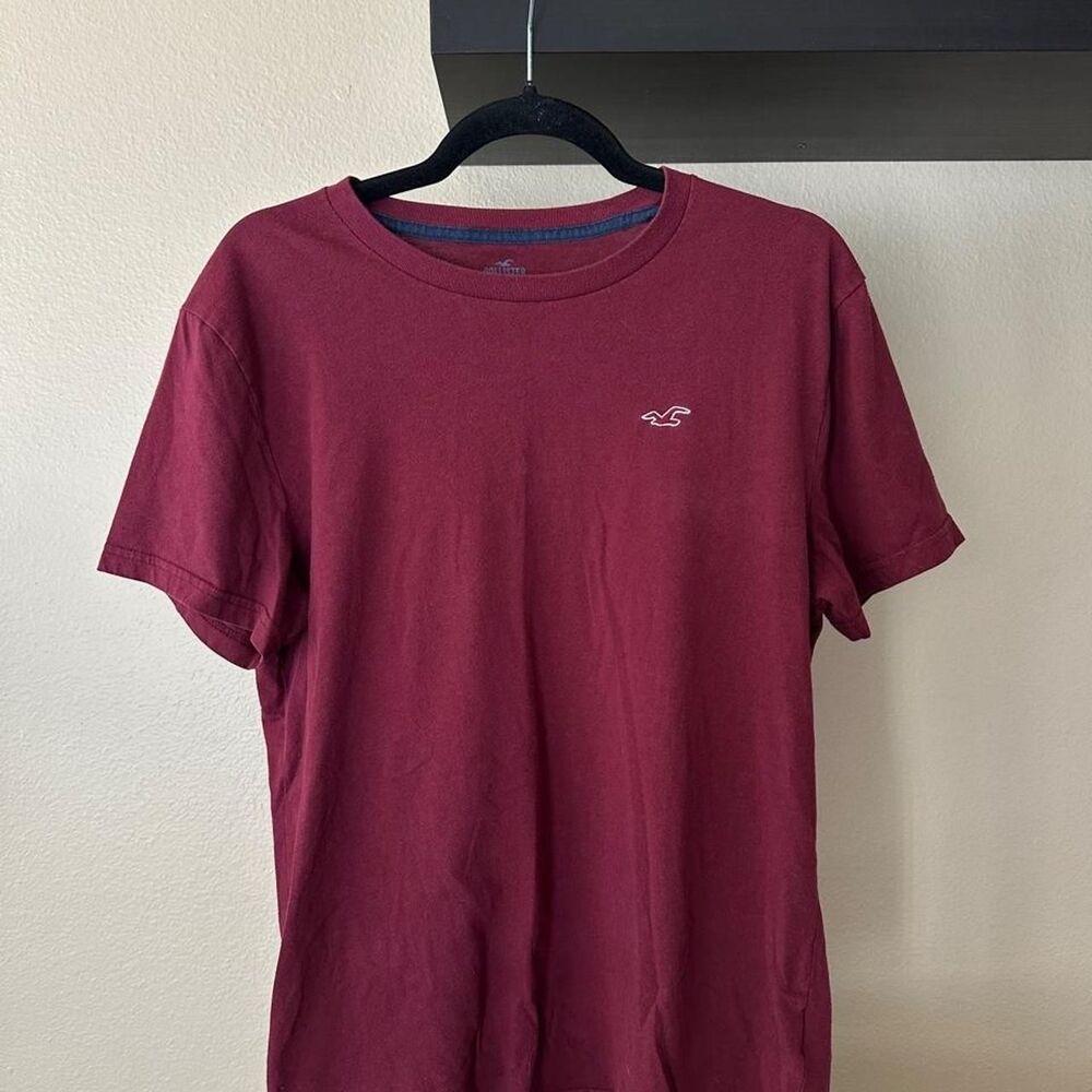 Hollister-co Men's Burgundy and Red T-shirt